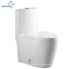 Aquacubic High Quality One-Piece White Ceramic Bathroom WC Toilet